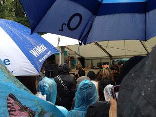 Taste of Dublin 2012