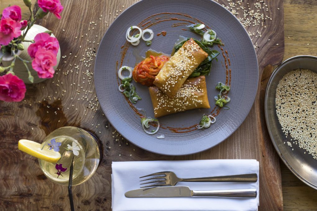 A night under the stars