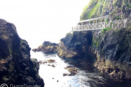 The Gobbins