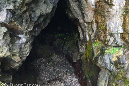 The Gobbins