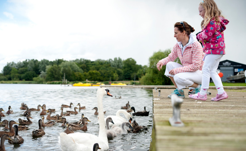 Lough Neagh Discovery Centre