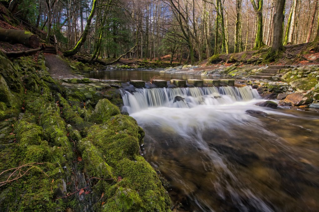 Tollymore Forest Park