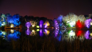 Mount Stewart Festival of Light