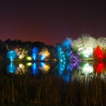 Mount Stewart Festival of Light