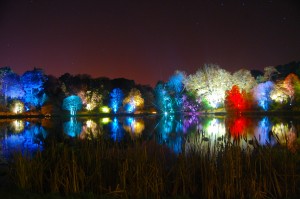 Mount Stewart Festival of Light