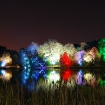 Mount Stewart Festival of Light