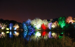 Mount Stewart Festival of Light