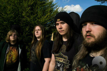 Serpent Northern Ireland