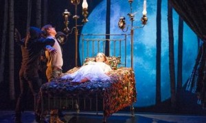 Sleeping Beauty Ballet