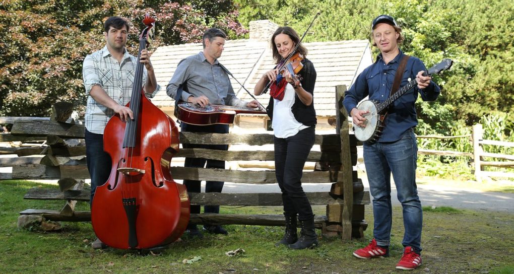 Bluegrass Music Festival