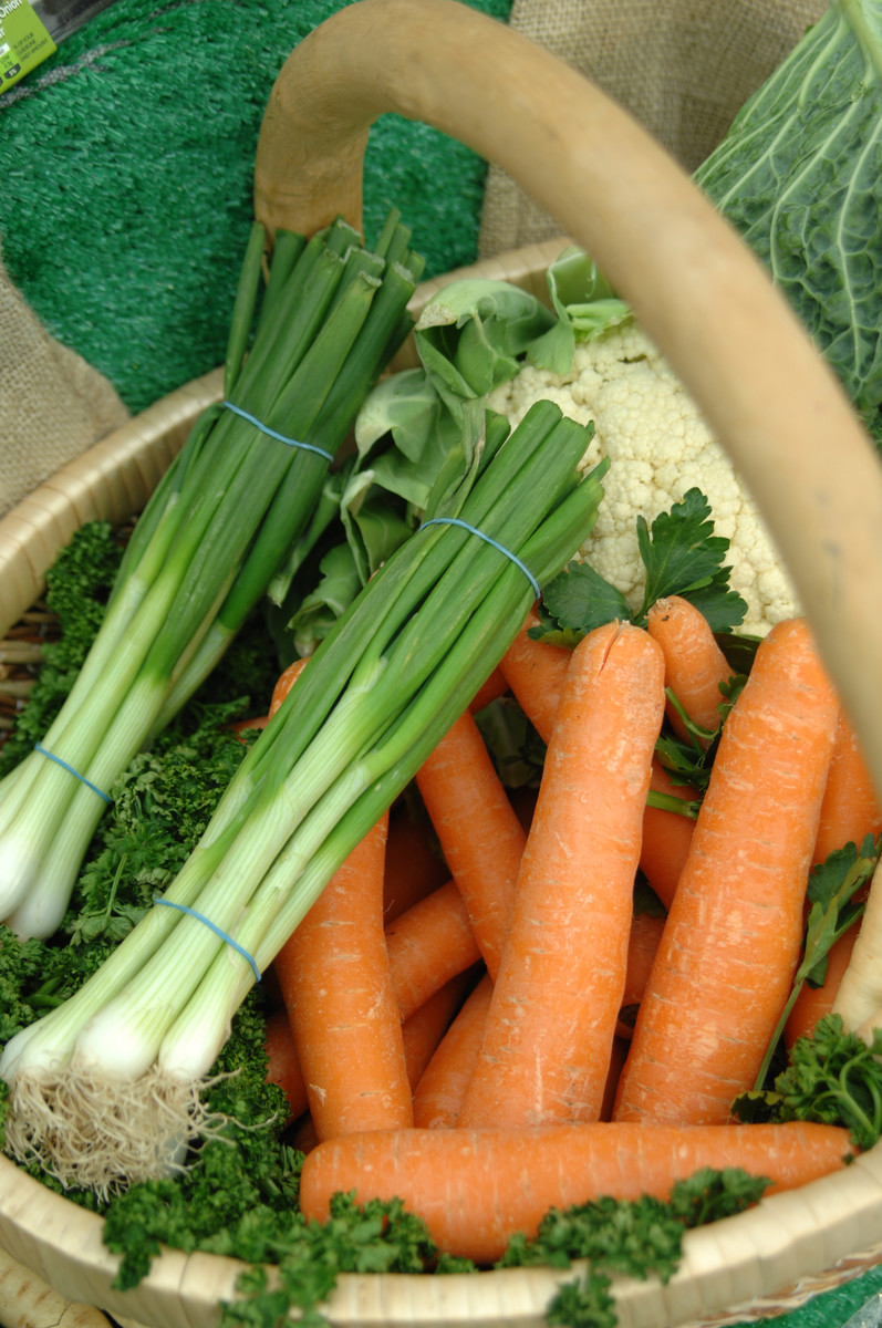 Comber Farmer's Market