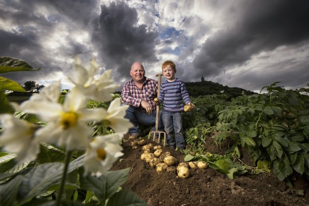 Comber Potatoes Iconic Local Brands