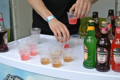 Taste of Dublin 2015