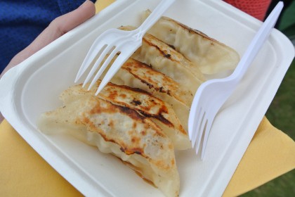 Taste of Dublin 2015