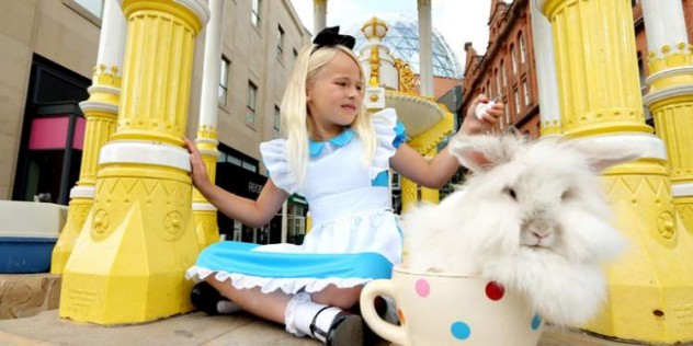 DiscoverWonderlandEvent_2x1-748x374