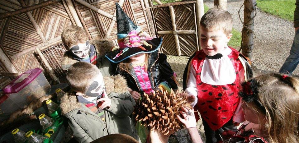 Halloween Fest at Florence Court