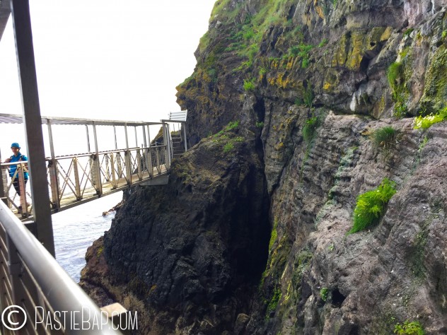 The Gobbins