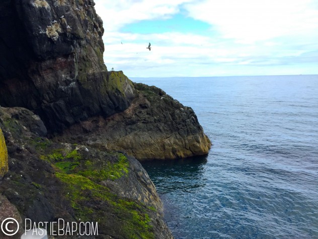 The Gobbins