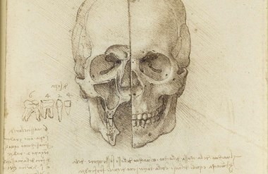Leonardo Da Vinci A Life In Drawings