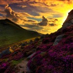 Mourne Mountains by Neil Carey