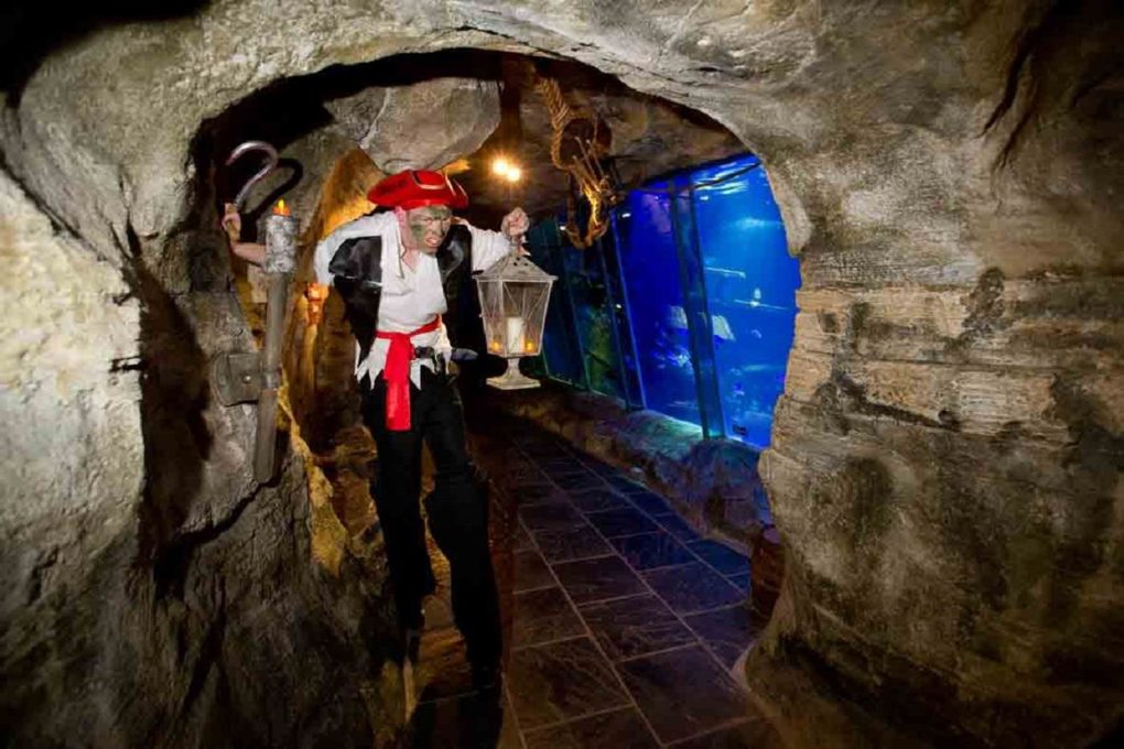 Pirate Ghost Ship Party