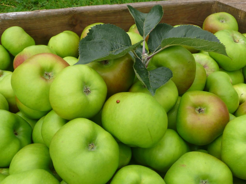 Richhill Apple Harvest Fayre